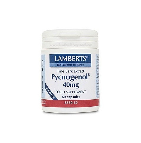 PYCNOGENOL EXTRACTO DE PINO 40 mg 60 CAPSULAS LAMBERTS