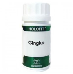 Holofit Ginkgo Equisalud