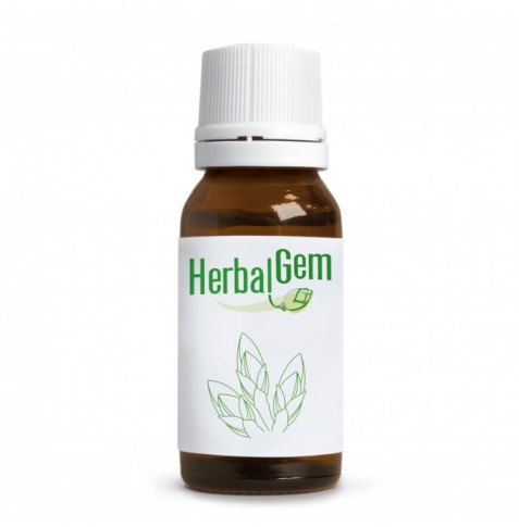 Jarabe de los Fumadores Bio 250 ml Herbalgem